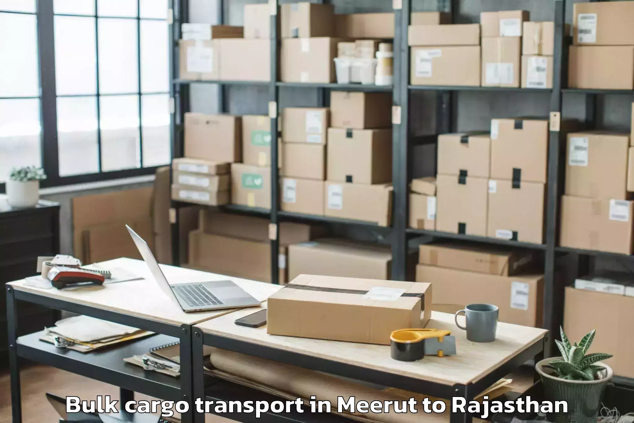 Professional Meerut to Dausa Bulk Cargo Transport